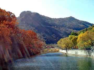 新澳天天开奖资料大全旅游团，丸美专业线